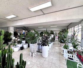 Shop & Retail commercial property for lease at 3/40 Roger Street Brookvale NSW 2100