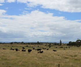 Factory, Warehouse & Industrial commercial property sold at 65 Pioneer Road Lang Lang East VIC 3984