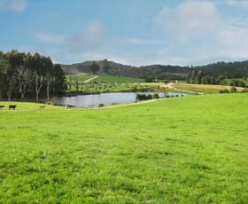 Rural / Farming commercial property sold at Mawbanna TAS 7321