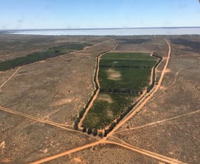 Rural / Farming commercial property sold at 576 Menindee Road Menindee NSW 2879