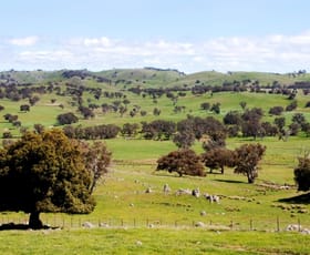 Rural / Farming commercial property sold at Bogolara Road Bookham Yass NSW 2582