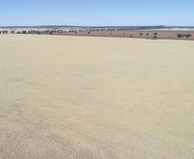 Rural / Farming commercial property sold at 548 Cunningtons Lane West Wyalong NSW 2671