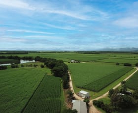 Rural / Farming commercial property sold at 238 Davidson Road Tully QLD 4854