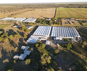 Rural / Farming commercial property sold at 286 Booyan Road Moore Park Beach QLD 4670