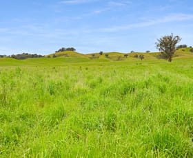 Rural / Farming commercial property sold at Green Valley Prices Road Tarcutta NSW 2652