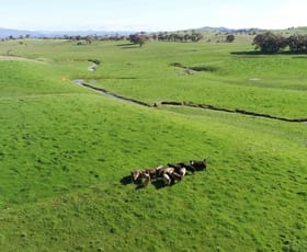 Rural / Farming commercial property sold at 1597 Black Range Road Bowning NSW 2582