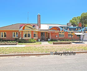 Hotel, Motel, Pub & Leisure commercial property sold at 38-42 Federation Street Patchewollock VIC 3491