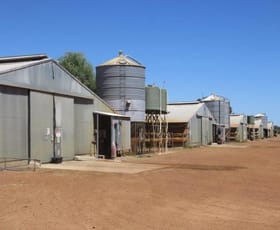 Rural / Farming commercial property for sale at 326 Airfield Road Bambun WA 6503