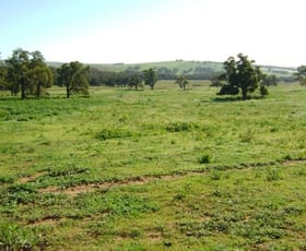 Rural / Farming commercial property sold at Duffy's Farm Mooliabeenee Road Gingin WA 6503