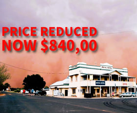 Hotel, Motel, Pub & Leisure commercial property sold at 13 Obley Street Yeoval NSW 2868
