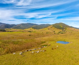 Rural / Farming commercial property sold at 110 Cells Road Number One NSW 2424