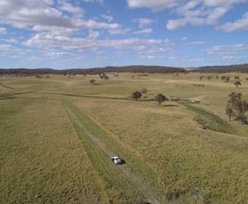 Rural / Farming commercial property for sale at Walcha NSW 2354