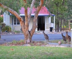 Hotel, Motel, Pub & Leisure commercial property sold at Stanthorpe QLD 4380