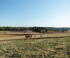 Rural / Farming commercial property sold at Lot 4 Merritts Creek Rd Pechey QLD 4352