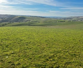 Rural / Farming commercial property for sale at 1185 Golspie Road Golspie NSW 2580