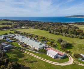 Hotel, Motel, Pub & Leisure commercial property sold at Emu Bay SA 5223