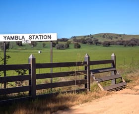 Rural / Farming commercial property for sale at Yambla Station Yambla Road Holbrook NSW 2644
