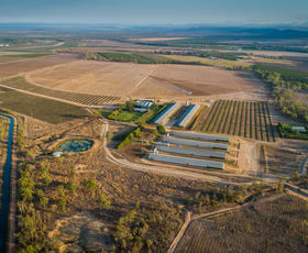 Rural / Farming commercial property for sale at Kalahari Farms 143 Robinson Road Mutchilba QLD 4872