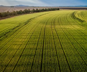 Rural / Farming commercial property sold at 'Garawah' & 'Booligal' Blackville NSW 2343