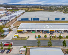 Factory, Warehouse & Industrial commercial property for sale at 1&2/1&2 7 Griffin Crescent Brendale QLD 4500