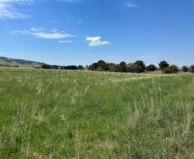 Rural / Farming commercial property for sale at 3350 Peak View Road Jerangle NSW 2630