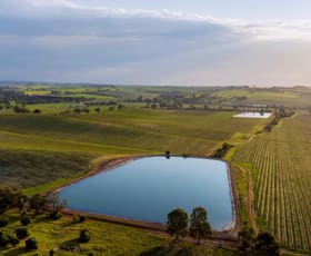Rural / Farming commercial property for sale at Rosedale Vineyard 260 Rosedale Road Rosedale SA 5350