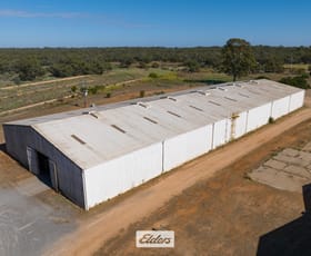 Factory, Warehouse & Industrial commercial property for lease at 3/15 Moore Street Robinvale VIC 3549 Factory, Warehouse & Industrial commercial property for lease at 3/15 Moore Street Robinvale VIC 3549