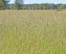 Rural / Farming commercial property sold at Old Moonie Road Moonie QLD 4406
