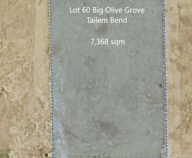 Development / Land commercial property for sale at Lot 60 Big Olive Grove Tailem Bend SA 5260