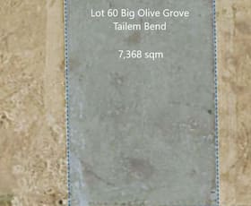 Development / Land commercial property sold at Lot 60 Big Olive Grove Tailem Bend SA 5260