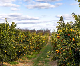 Rural / Farming commercial property for sale at The Colignan Portfolio 6 McLaren Drive Colignan VIC 3494