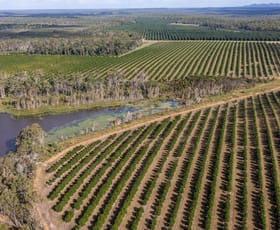 Rural / Farming commercial property for sale at 239 North Littabella Road Mullett Creek QLD 4670