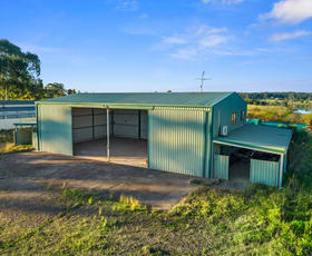 Rural / Farming commercial property for sale at 41 Wolseley Road Mcgraths Hill NSW 2756