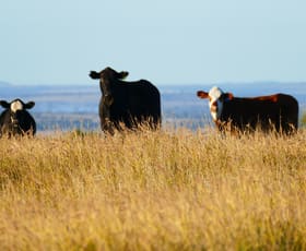 Rural / Farming commercial property sold at 1859 Greens Road Taroom QLD 4420