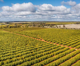 Rural / Farming commercial property for sale at Naimo Citrus 203 Payten Road Corbie Hill NSW 2705