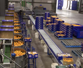 Rural / Farming commercial property for sale at Naimo Citrus 203 Payten Road Corbie Hill NSW 2705