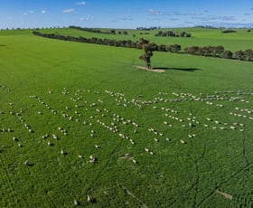 Rural / Farming commercial property sold at Greenethorpe NSW 2809