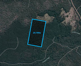 Development / Land commercial property for sale at 6408 Arthur Hwy Port Arthur TAS 7182