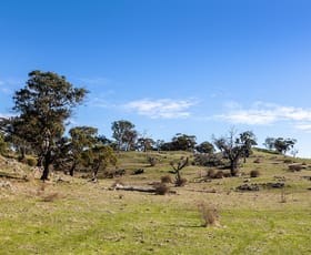 Rural / Farming commercial property for sale at Peggy Hill Road Eden Valley SA 5235
