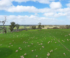 Rural / Farming commercial property for sale at 3320 Casterton-Edenhope Road Chetwynd VIC 3312