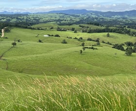 Rural / Farming commercial property sold at 55 Harrimans Road Tarzali QLD 4885