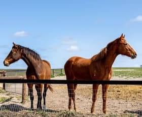 Rural / Farming commercial property sold at 478 Usher Road Gifford Hill SA 5253