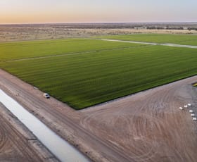 Rural / Farming commercial property for sale at 461 Steele Road Coleambally NSW 2707