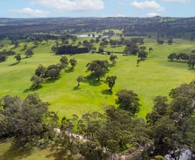 Rural / Farming commercial property for sale at 208 Monkhouse Road Oakbank SA 5243
