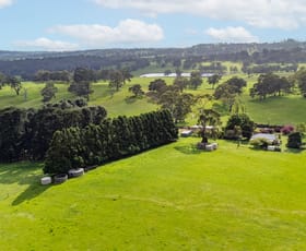 Rural / Farming commercial property for sale at 208 Monkhouse Road Oakbank SA 5243