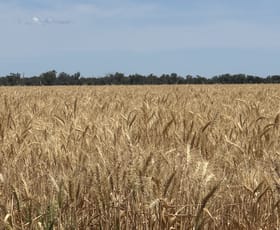 Rural / Farming commercial property for sale at 3282 Gungalman Road Carinda NSW 2831