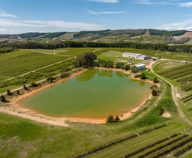 Rural / Farming commercial property for sale at 318 Berry Road Rosewood NSW 2652