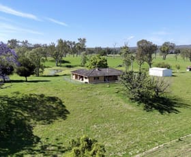 Rural / Farming commercial property for sale at Apple Tree Flat 353 Winegrove Road Winegrove NSW 2460