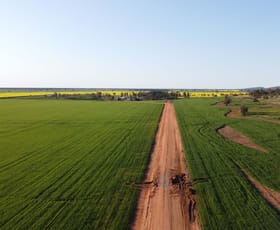 Rural / Farming commercial property sold at Wirrinya NSW 2871