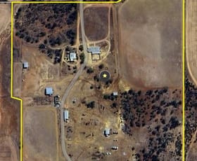 Rural / Farming commercial property for sale at 793 Osborne Road Dalwallinu WA 6609